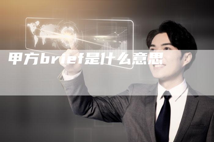 甲方brief是什么意思-夫唯域名网