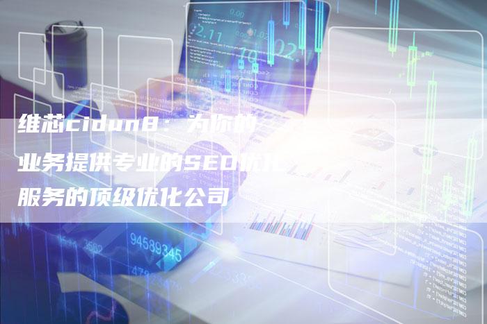 维芯cidun8：为你的业务提供专业的SEO优化服务的顶级优化公司-夫唯域名网