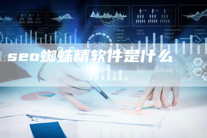 seo蜘蛛精软件是什么