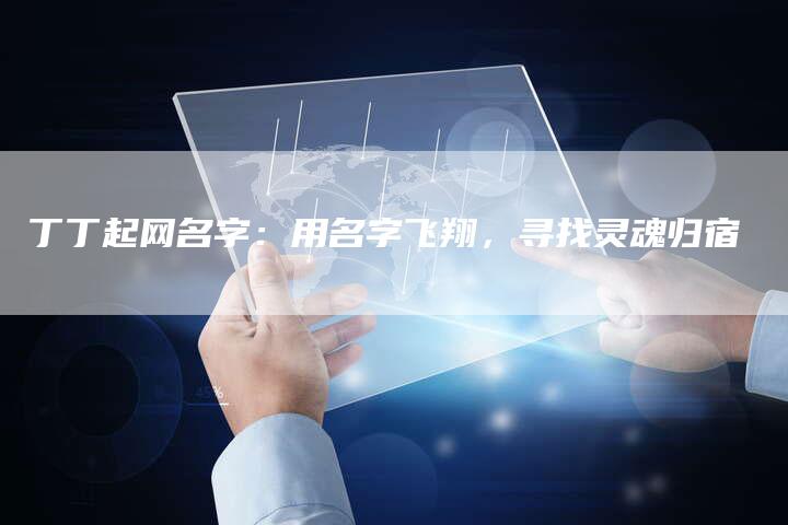 丁丁起网名字：用名字飞翔，寻找灵魂归宿-夫唯域名网