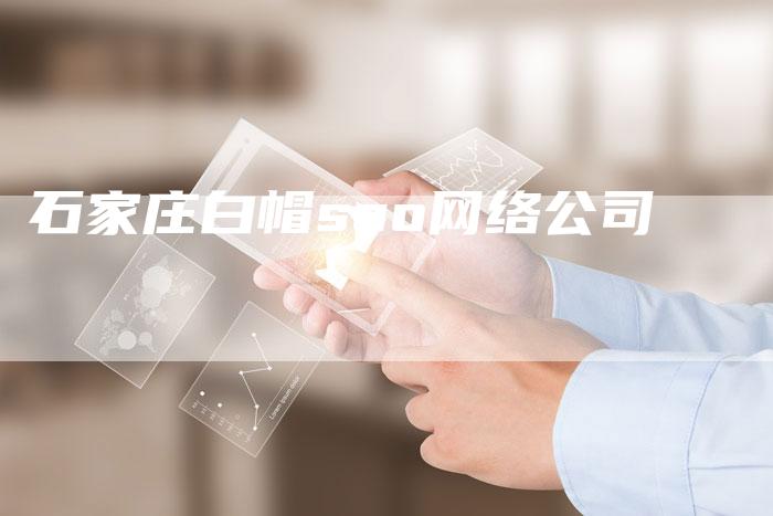 石家庄白帽seo网络公司-夫唯域名网