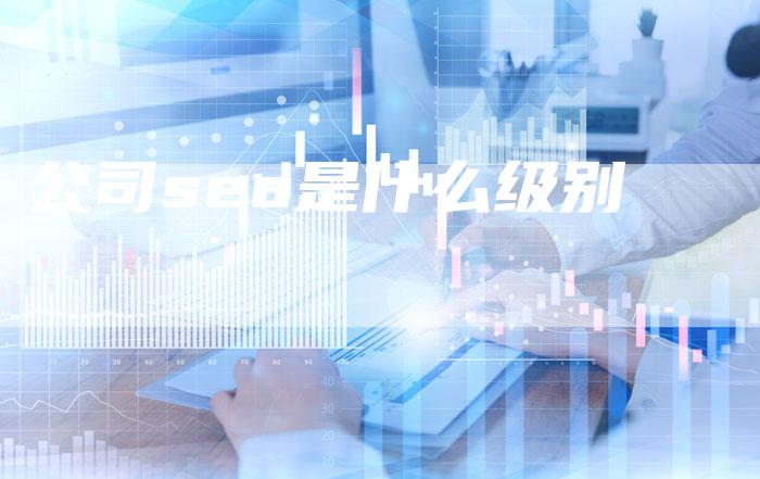 公司seo是什么级别
