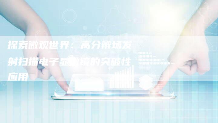 探索微观世界：高分辨场发射扫描电子显微镜的突破性应用-夫唯域名网