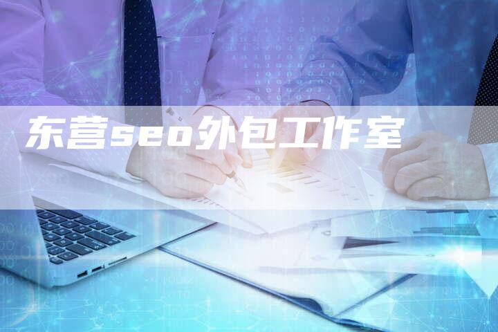 东营seo外包工作室-夫唯域名网