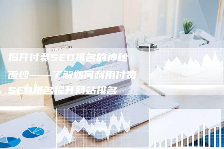 揭开付费SEO排名的神秘面纱——了解如何利用付费SEO排名提升网站排名-夫唯域名网
