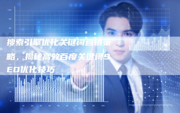 搜索引擎优化关键词营销策略，揭秘高效百度关键词SEO优化技巧