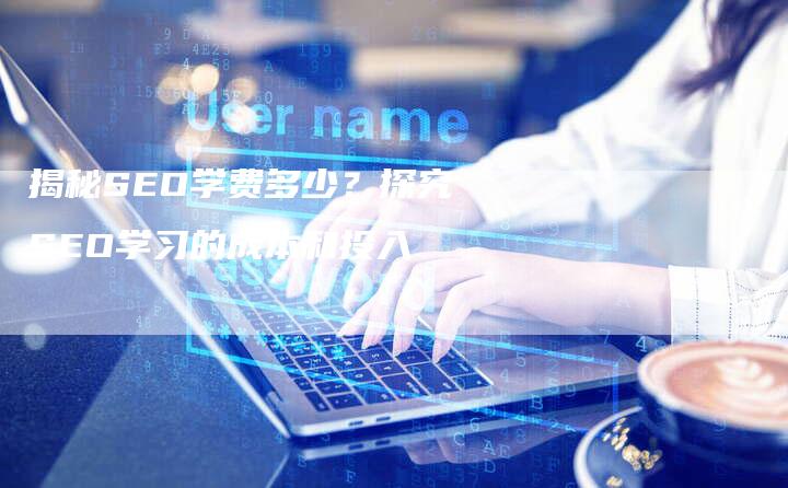揭秘SEO学费多少？探究SEO学习的成本和投入-夫唯域名网