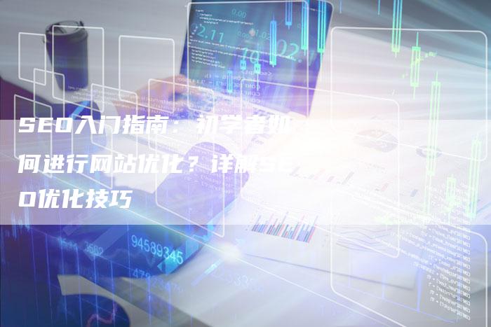 SEO入门指南：初学者如何进行网站优化？详解SEO优化技巧