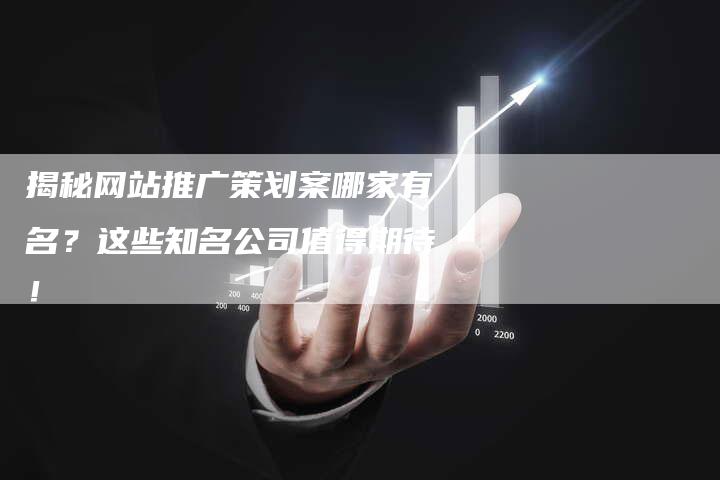 揭秘网站推广策划案哪家有名？这些知名公司值得期待！