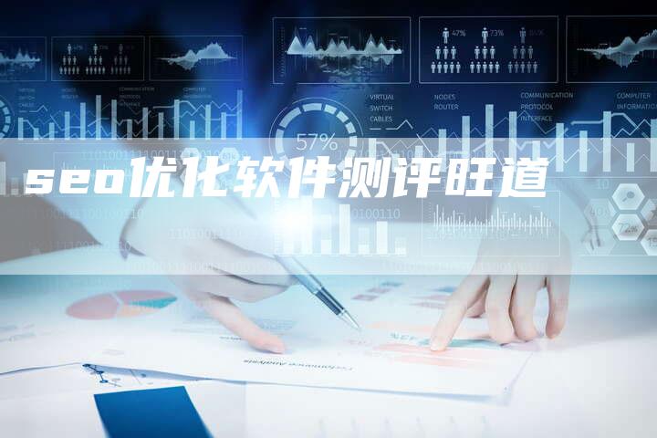 seo优化软件测评旺道-夫唯域名网