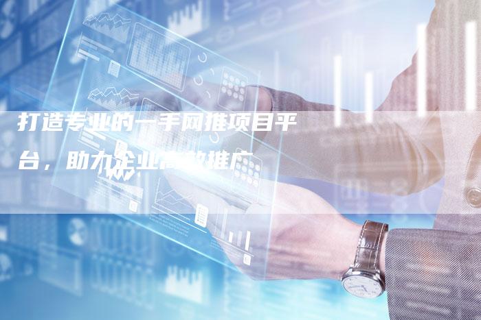 打造专业的一手网推项目平台，助力企业高效推广-夫唯域名网