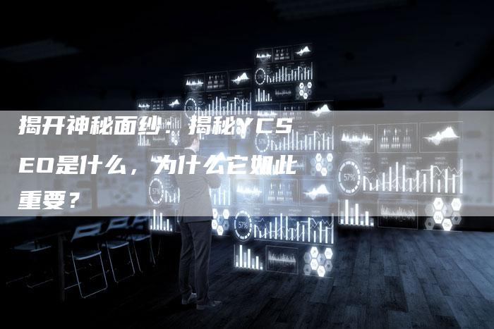 揭开神秘面纱：揭秘YCSEO是什么，为什么它如此重要？