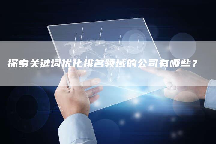 探索关键词优化排名领域的公司有哪些?-夫唯域名网