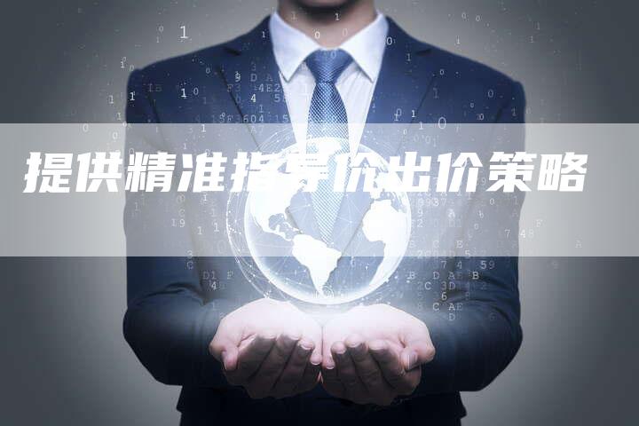 提供精准指导价出价策略-夫唯域名网