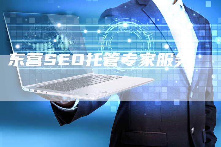 东营SEO托管专家服务