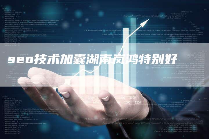seo技术加囊湖南岚鸿特别好
