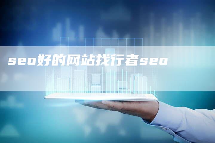 seo好的网站找行者seo