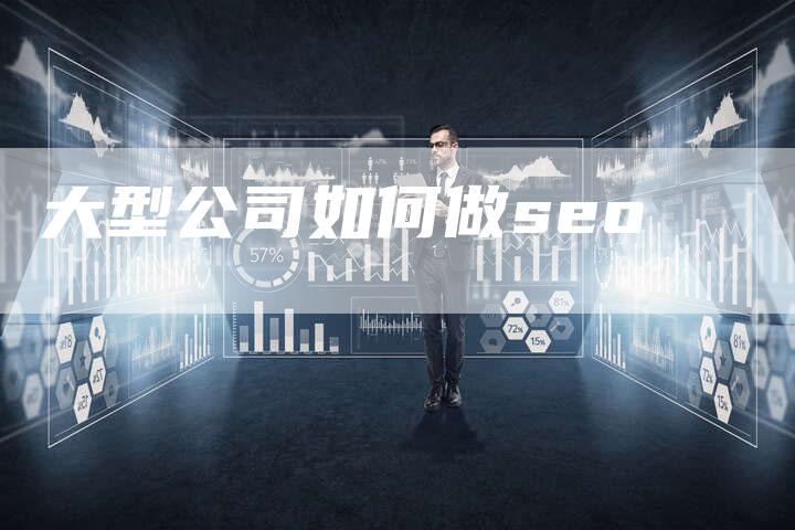 大型公司如何做seo-夫唯域名网